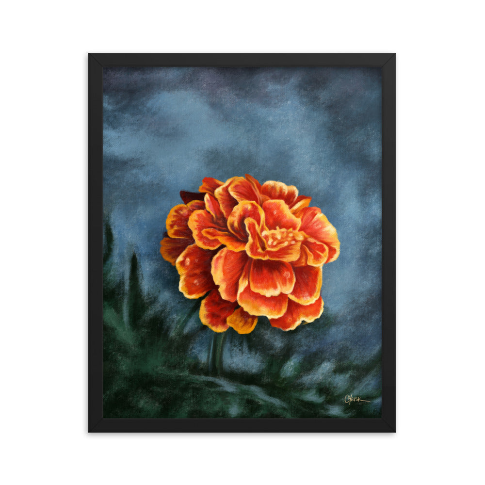 Marigold (October) - Birth Flower Framed Print