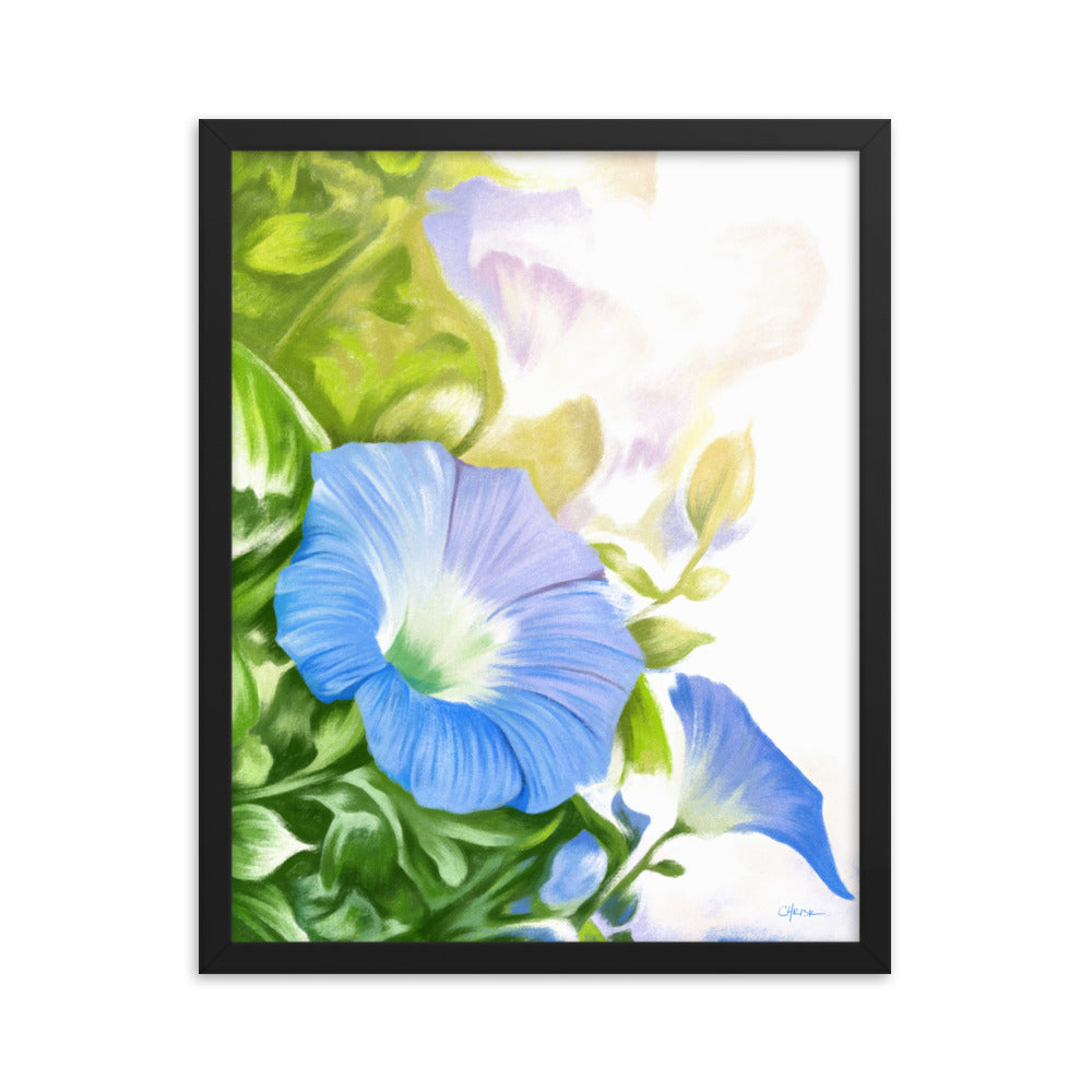 Morning Glory (September) - Birth Flower Framed Print