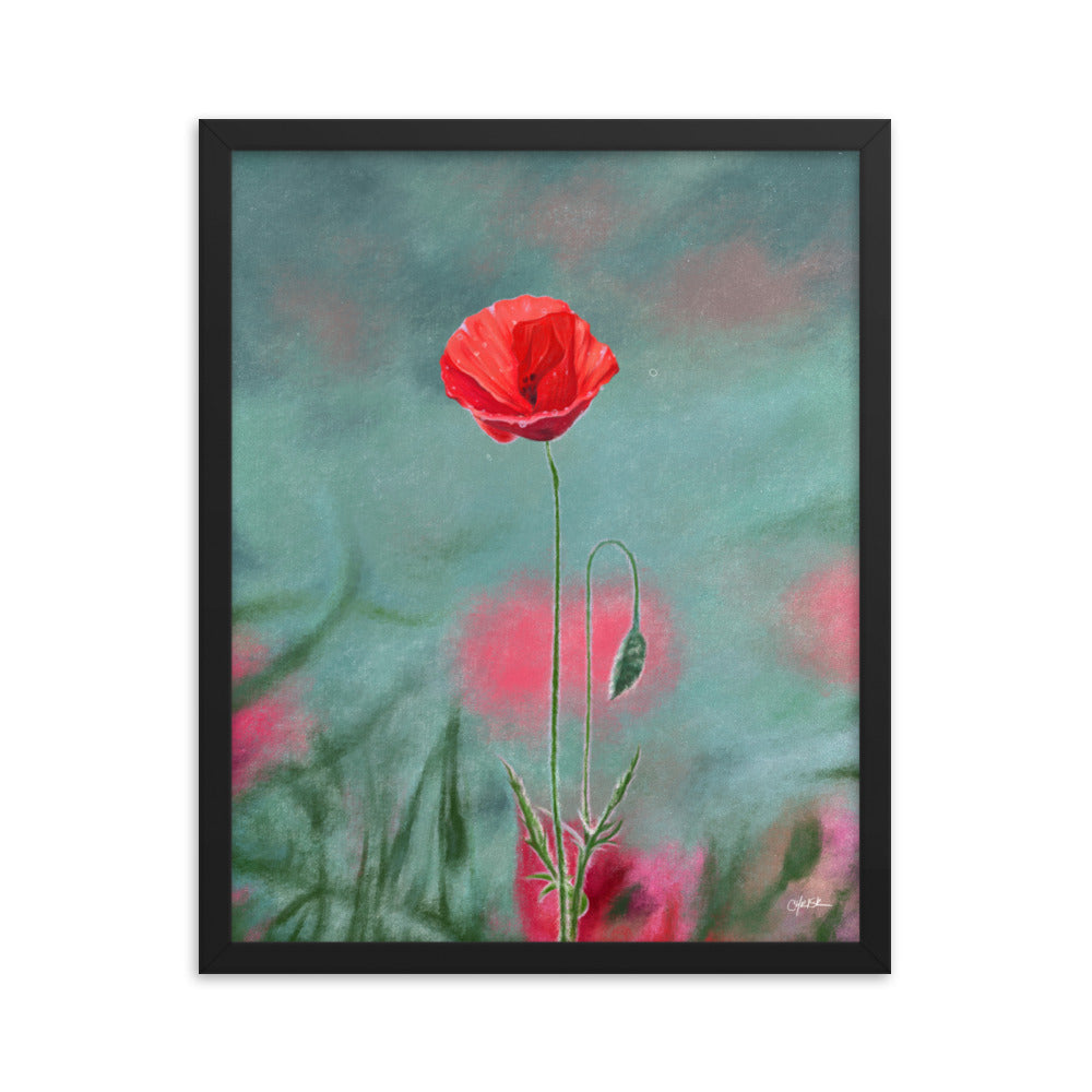 Poppy (August) - Birth Flower Framed Print