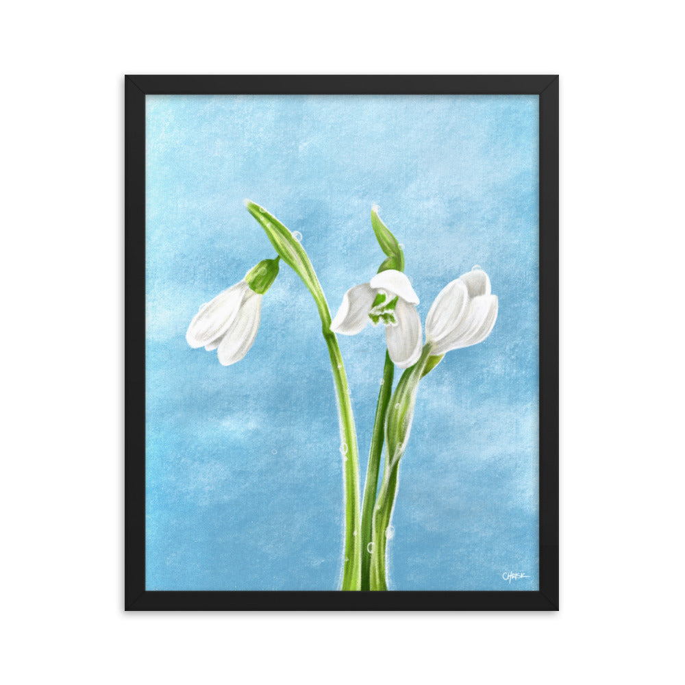 Snowdrop (January) - Birth Flower Framed Print