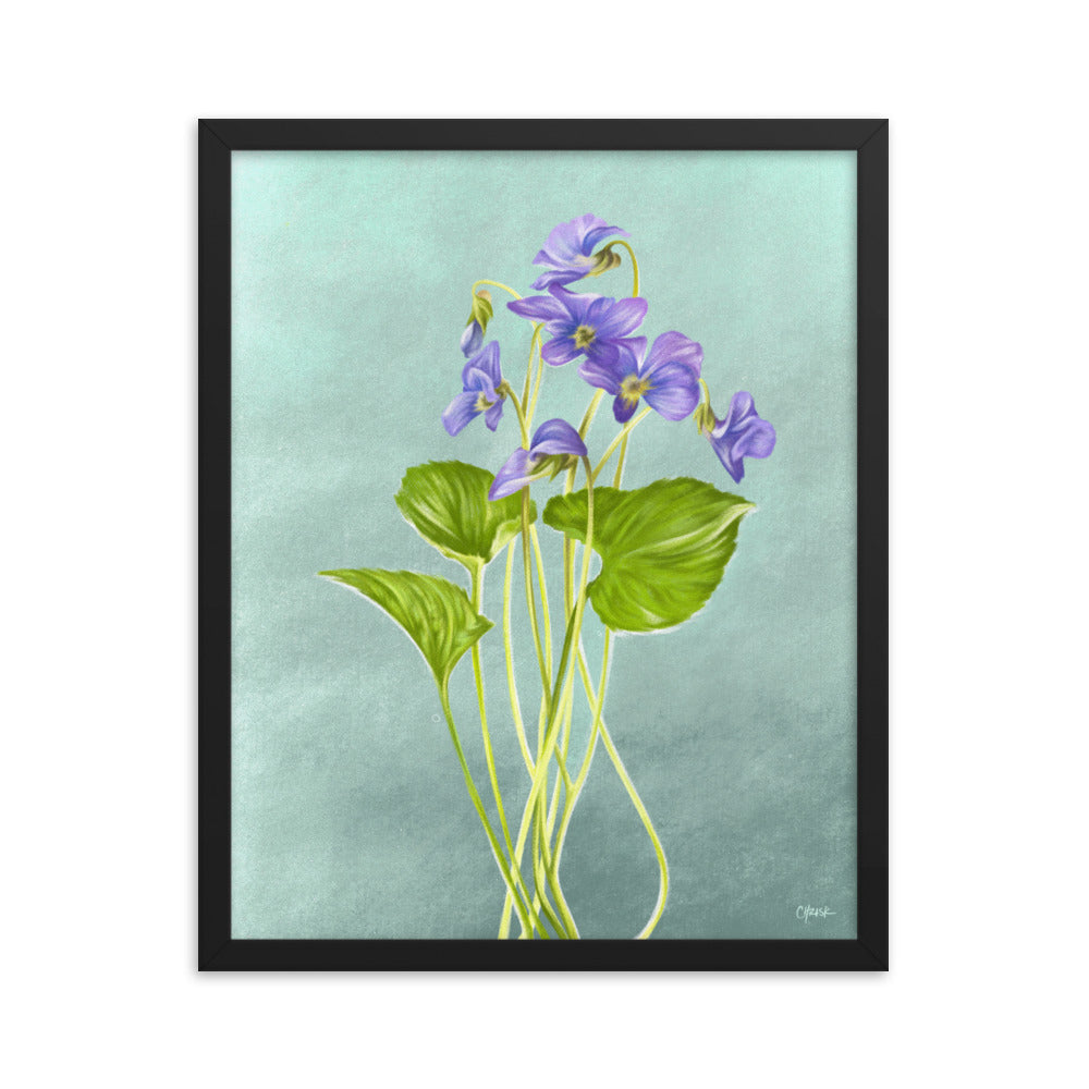 Violet (February) - Birth Flower Framed Print