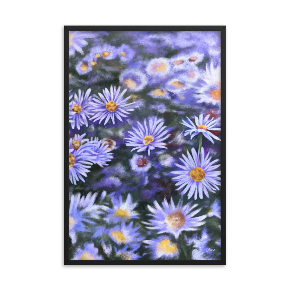 Aster (September) - Birth Flower Framed Print