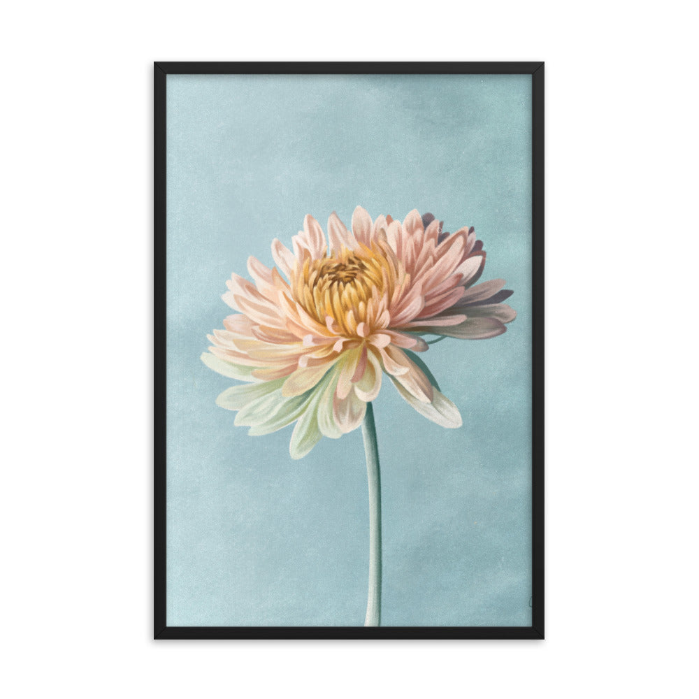 Chrysanthemum (November) - Birth Flower Framed Print