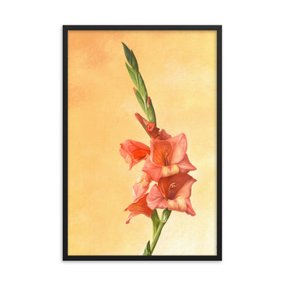 Gladiolus (August) - Birth Flower Framed Print