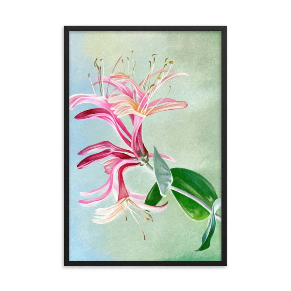 Honeysuckle (June) - Birth Flower Framed Print