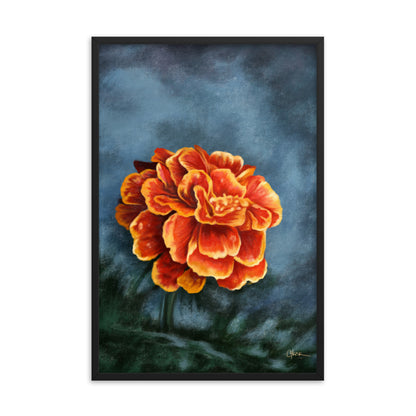 Marigold (October) - Birth Flower Framed Print