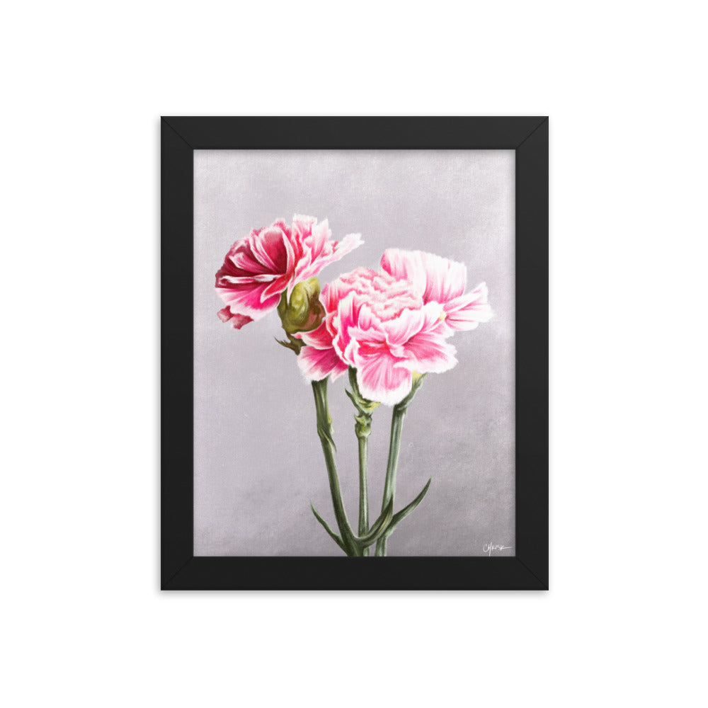 Carnation (January) - Birth Flower Framed Print