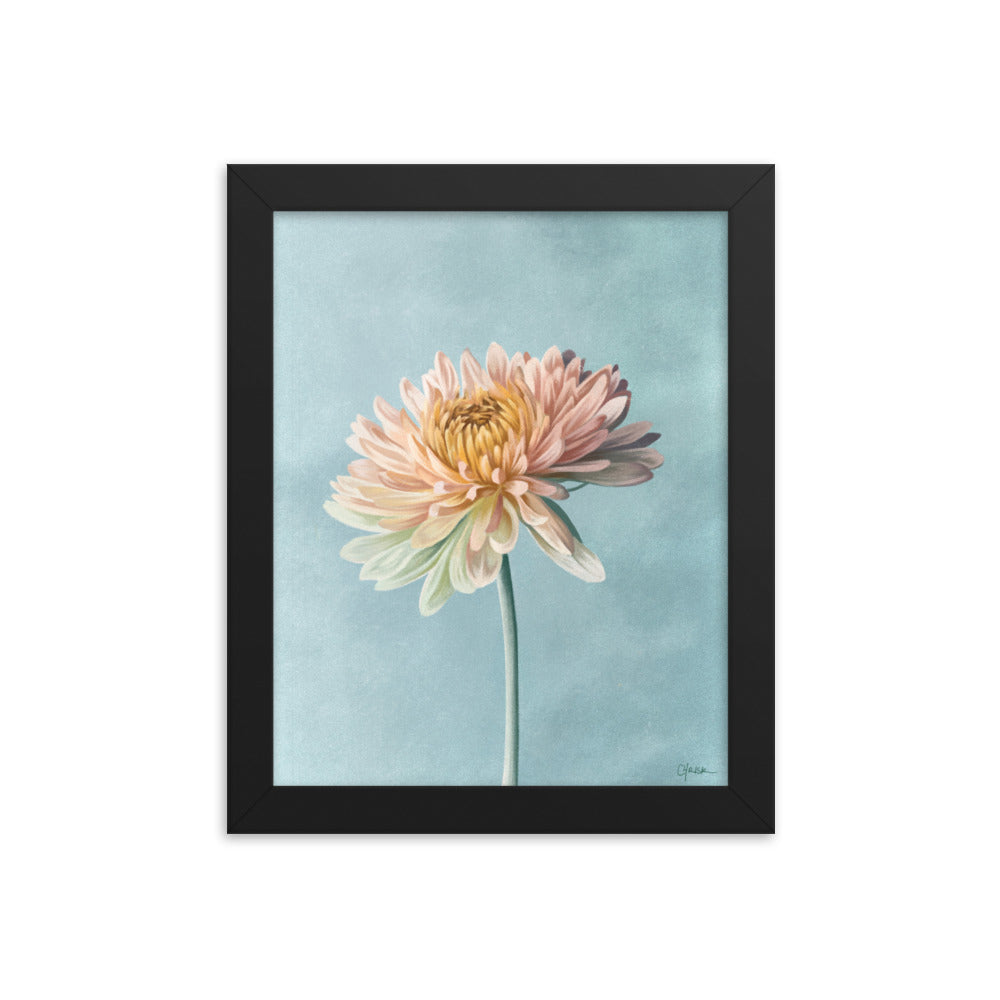 Chrysanthemum (November) - Birth Flower Framed Print