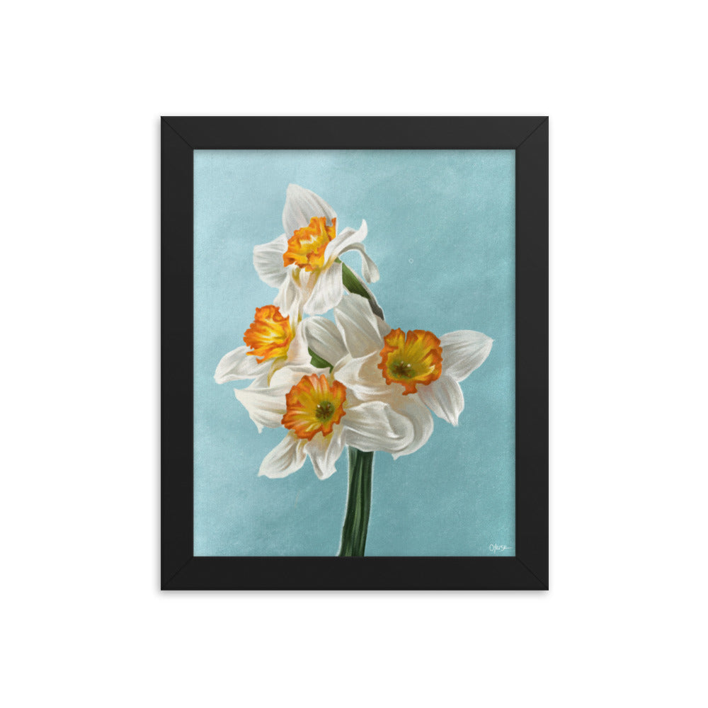 Daffodil (March) - Birth Flower Framed Print