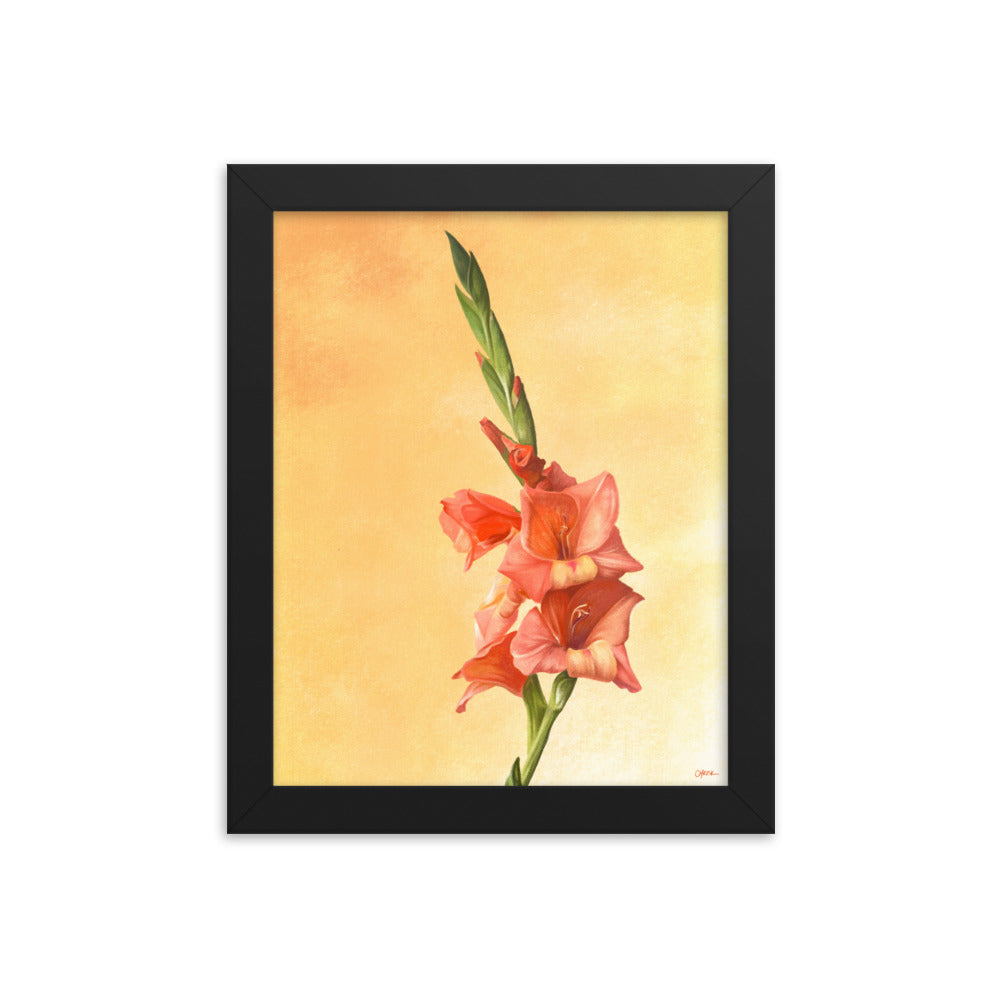 Gladiolus (August) - Birth Flower Framed Print