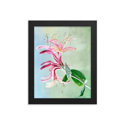 Honeysuckle (June) - Birth Flower Framed Print