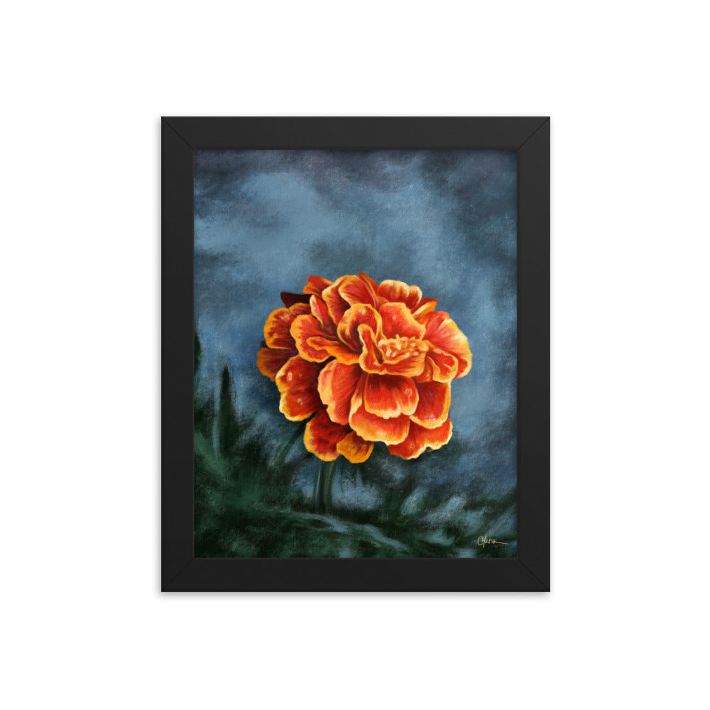 Marigold (October) - Birth Flower Framed Print