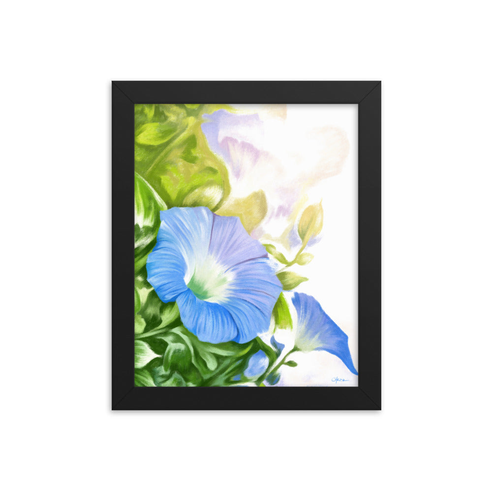 Morning Glory (September) - Birth Flower Framed Print