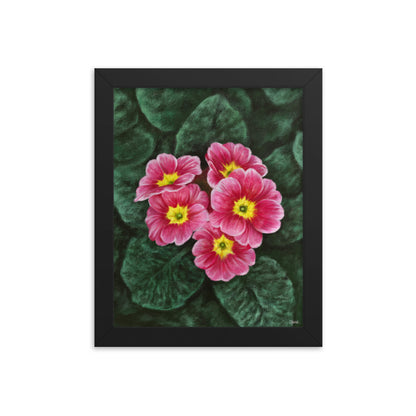 Primrose (February) - Birth Flower Framed Print