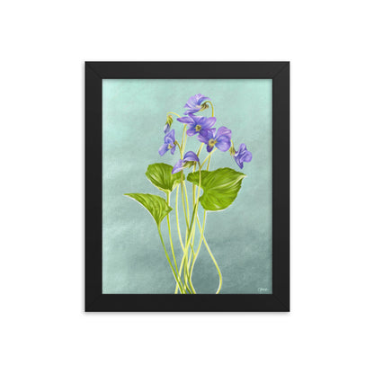 Violet (February) - Birth Flower Framed Print