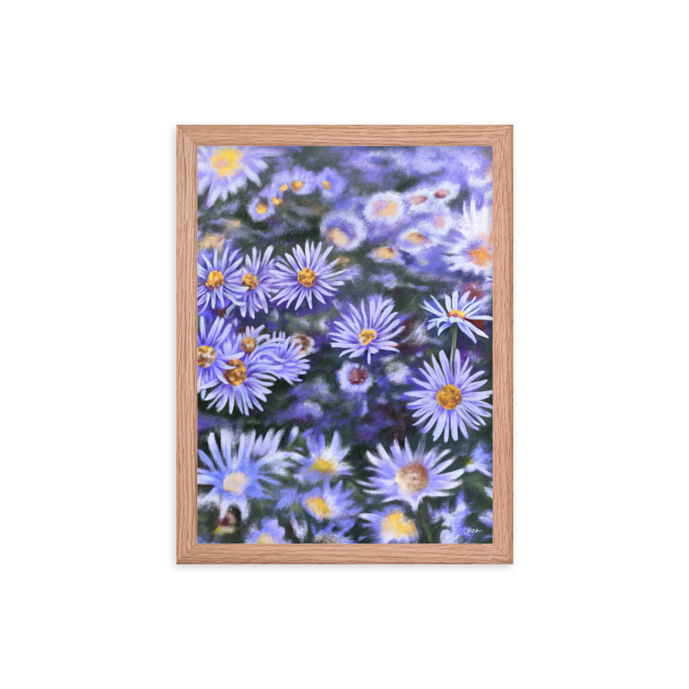 Aster (September) - Birth Flower Framed Print