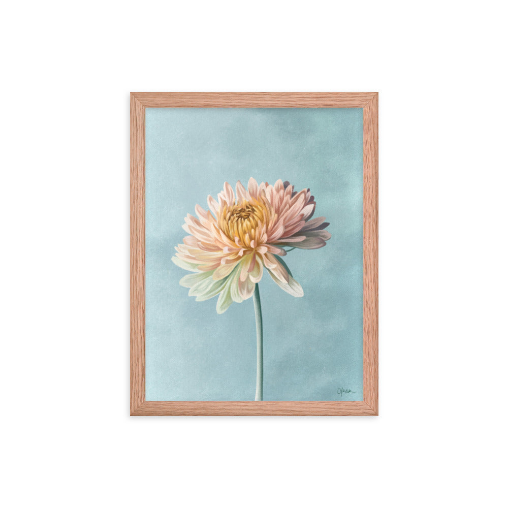 Chrysanthemum (November) - Birth Flower Framed Print