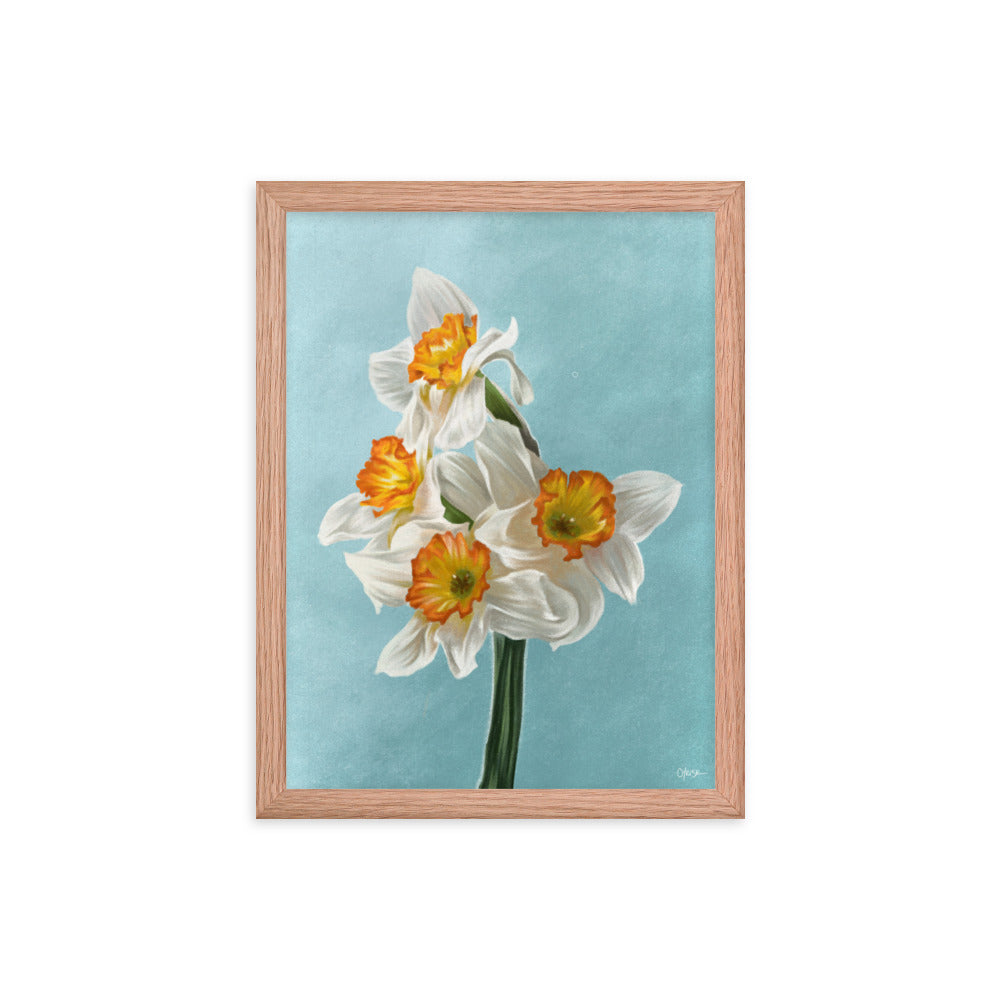 Daffodil (March) - Birth Flower Framed Print