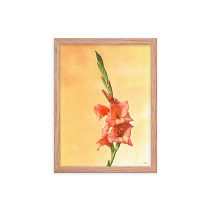 Gladiolus (August) - Birth Flower Framed Print