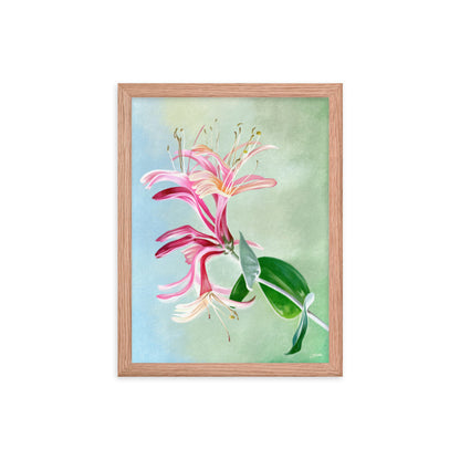 Honeysuckle (June) - Birth Flower Framed Print