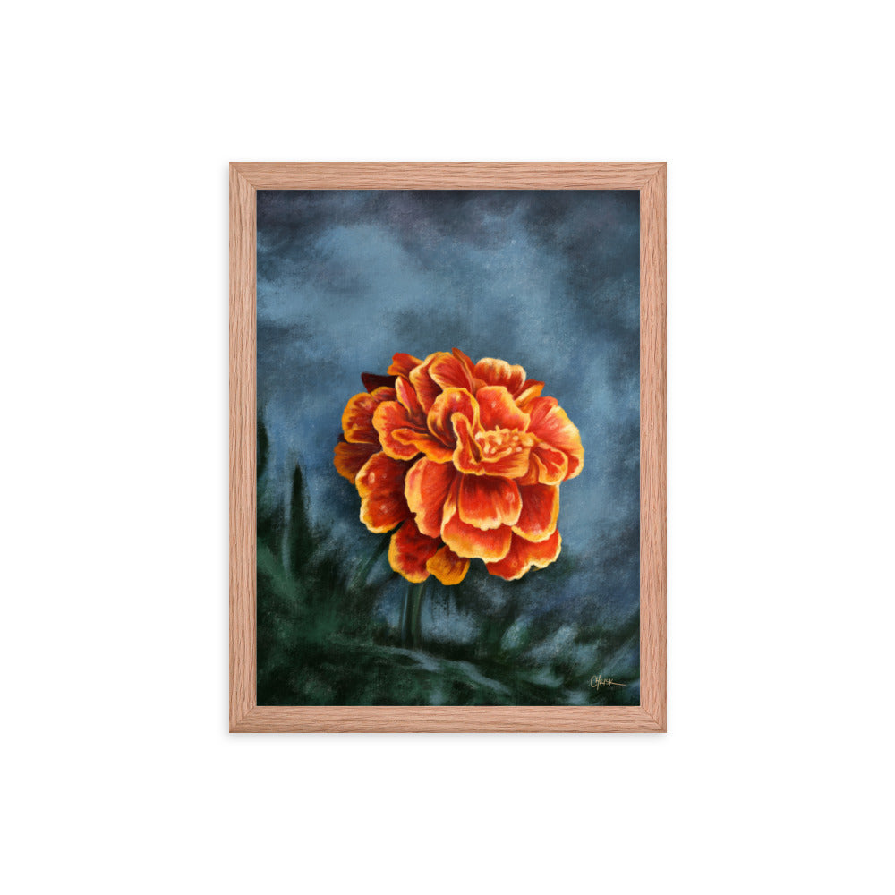 Marigold (October) - Birth Flower Framed Print