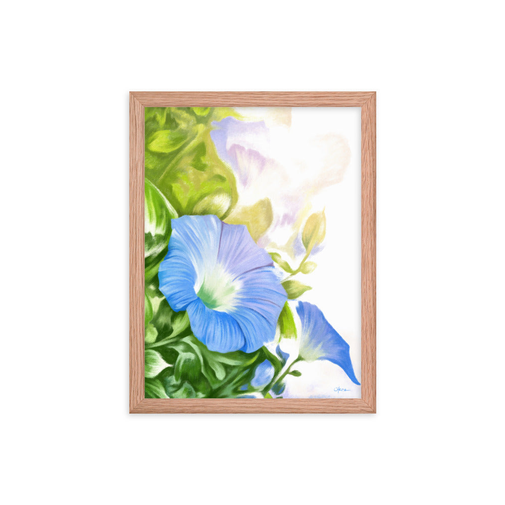 Morning Glory (September) - Birth Flower Framed Print