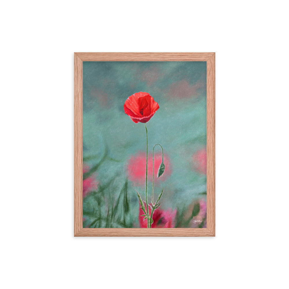 Poppy (August) - Birth Flower Framed Print