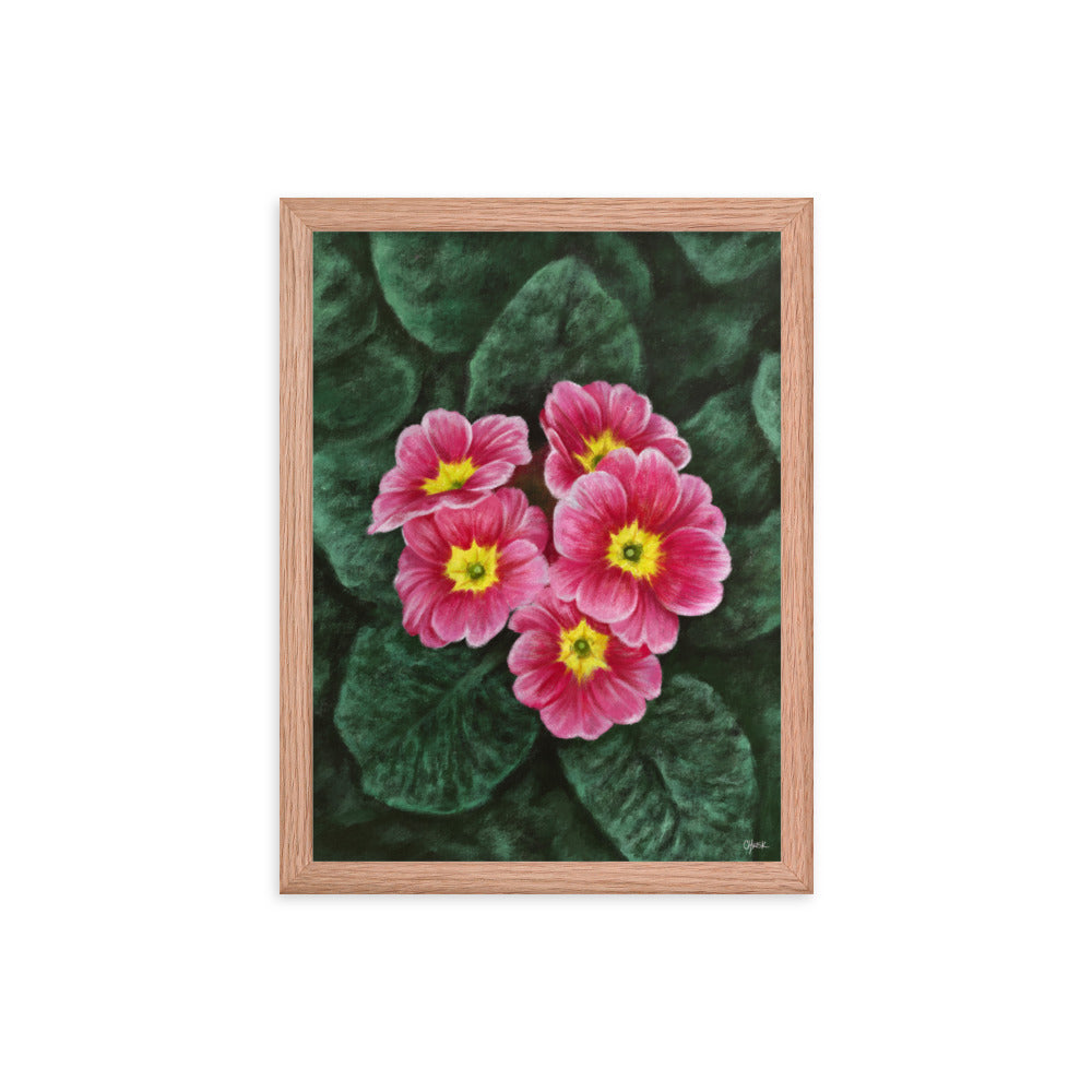 Primrose (February) - Birth Flower Framed Print