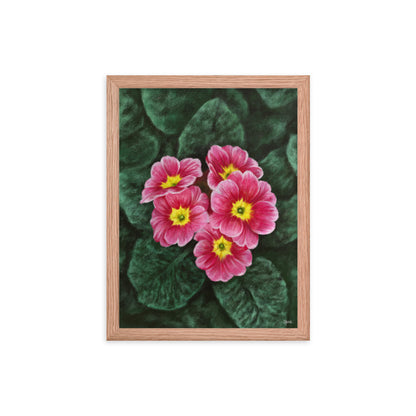 Primrose (February) - Birth Flower Framed Print