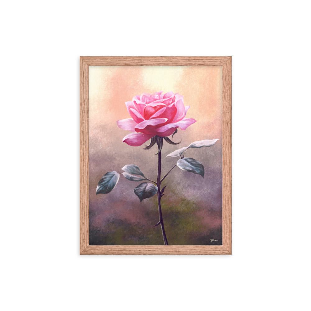 Rose (June) - Birth Flower Framed Print