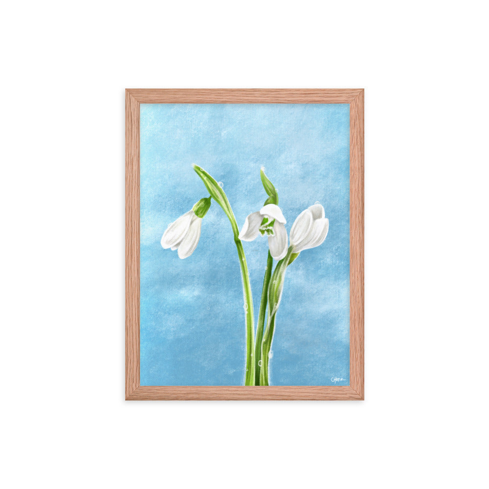 Snowdrop (January) - Birth Flower Framed Print