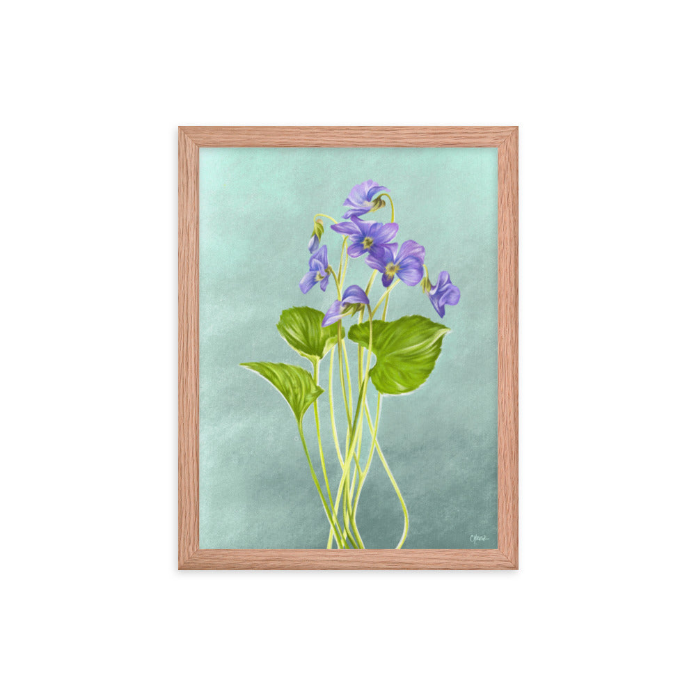 Violet (February) - Birth Flower Framed Print