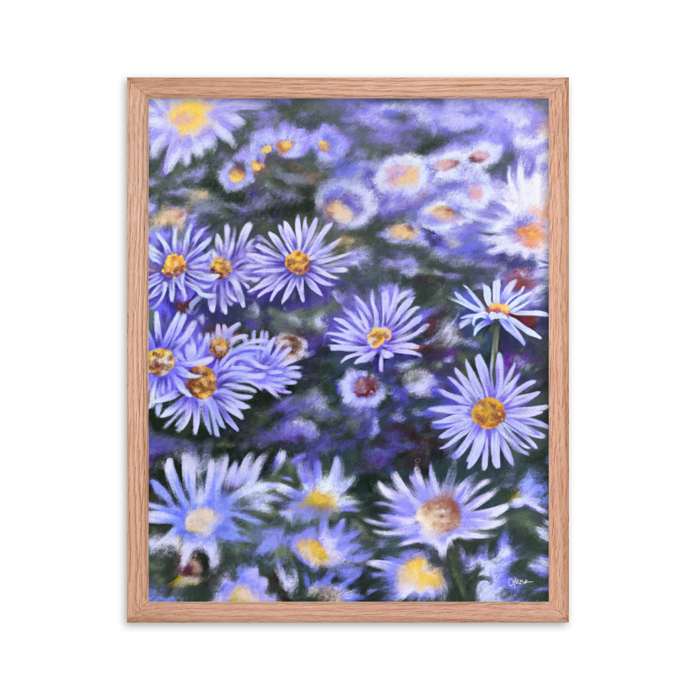 Aster (September) - Birth Flower Framed Print