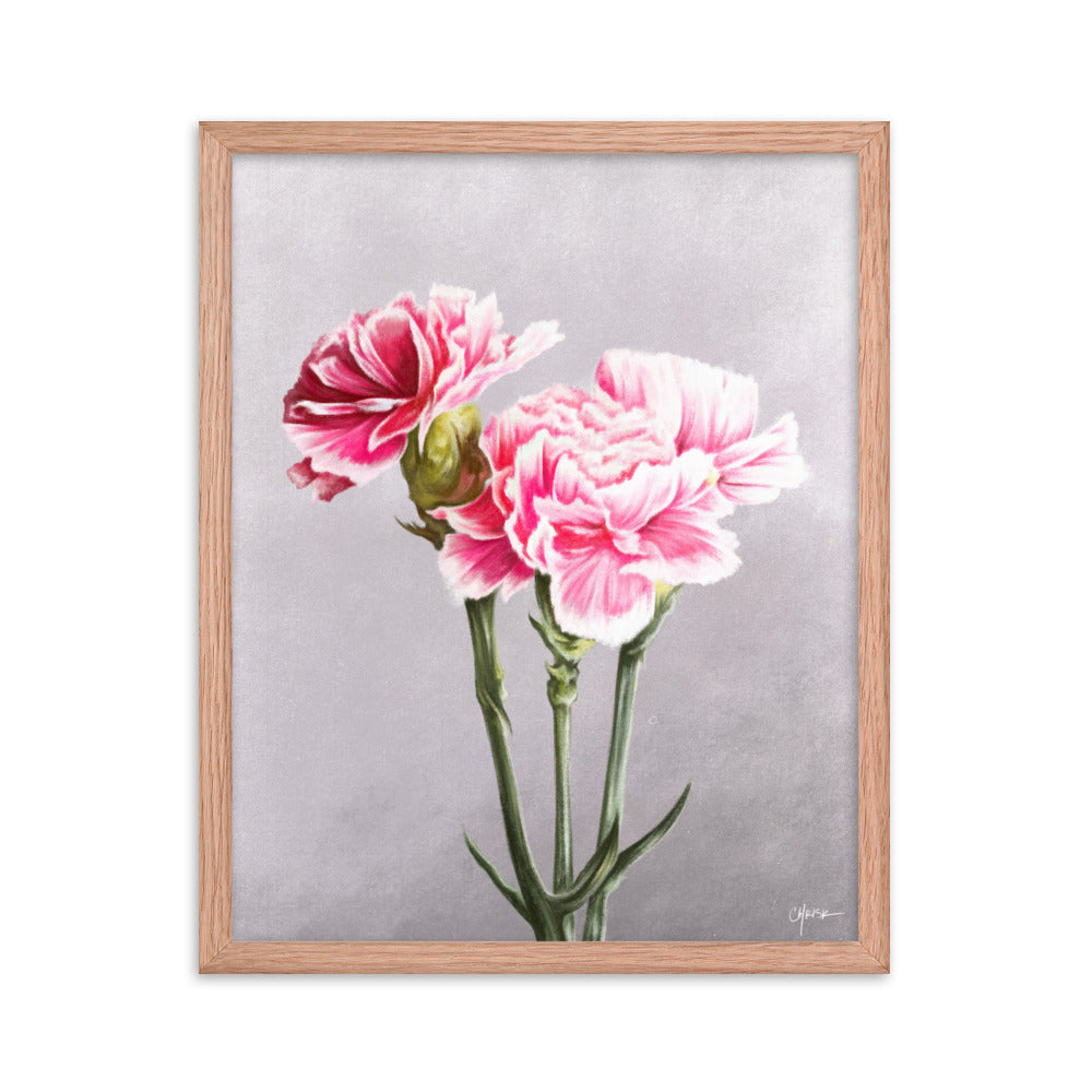 Carnation (January) - Birth Flower Framed Print