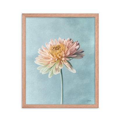 Chrysanthemum (November) - Birth Flower Framed Print