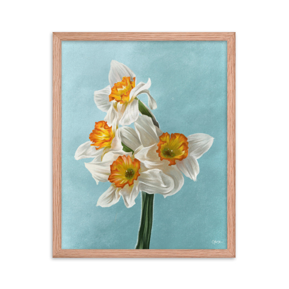 Daffodil (March) - Birth Flower Framed Print