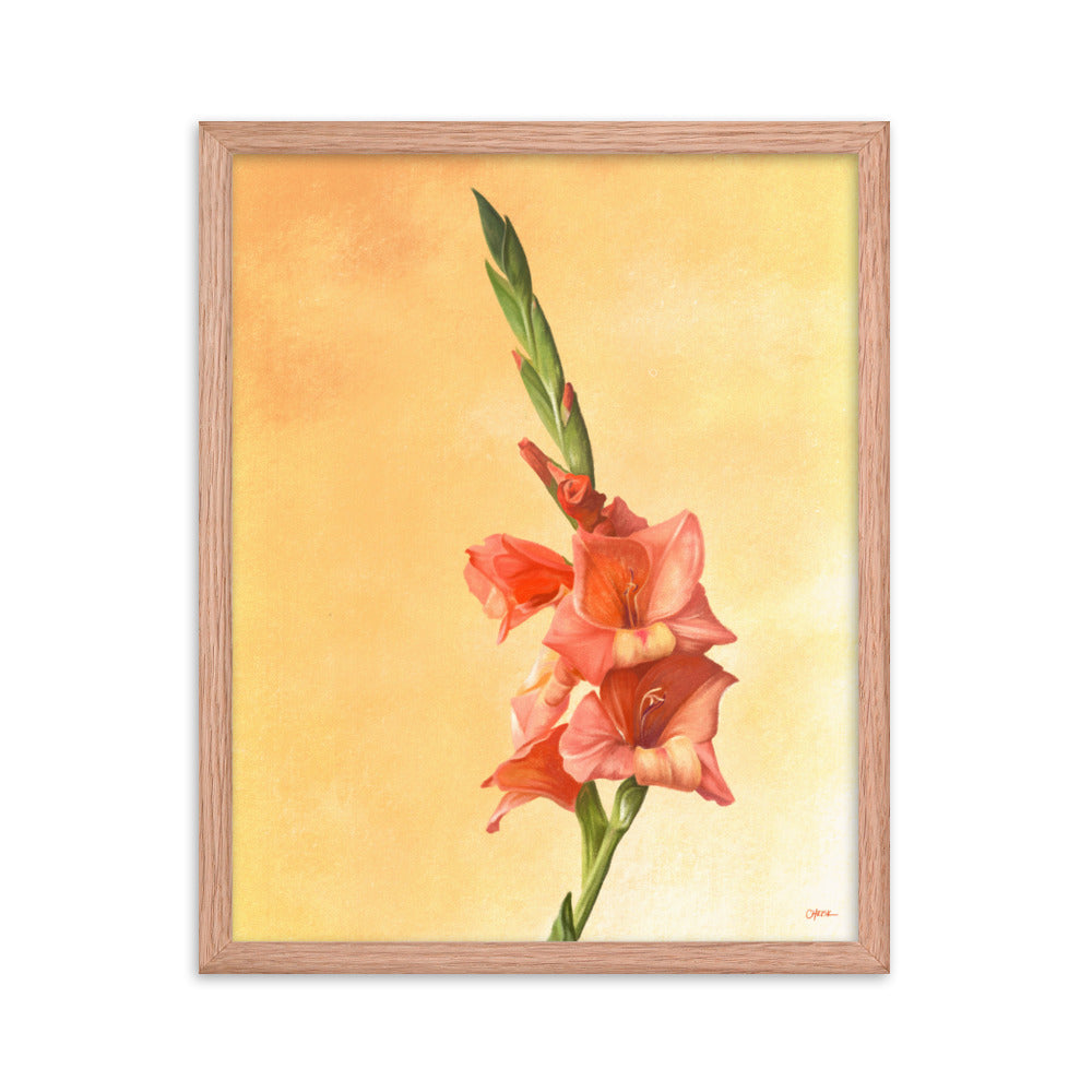 Gladiolus (August) - Birth Flower Framed Print