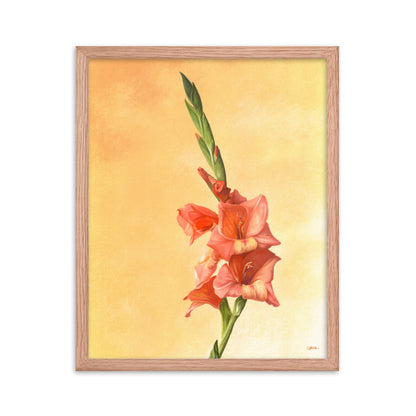 Gladiolus (August) - Birth Flower Framed Print