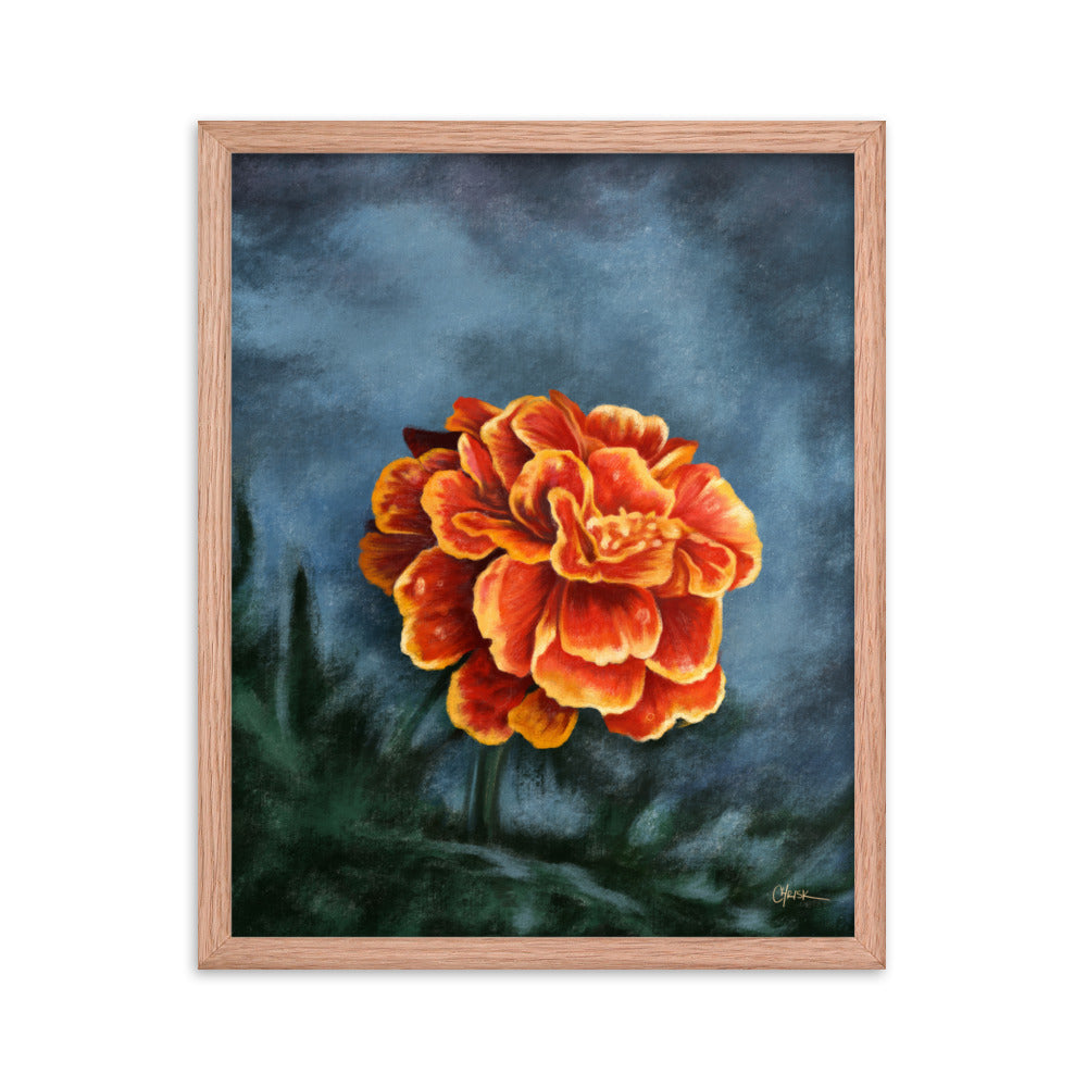 Marigold (October) - Birth Flower Framed Print