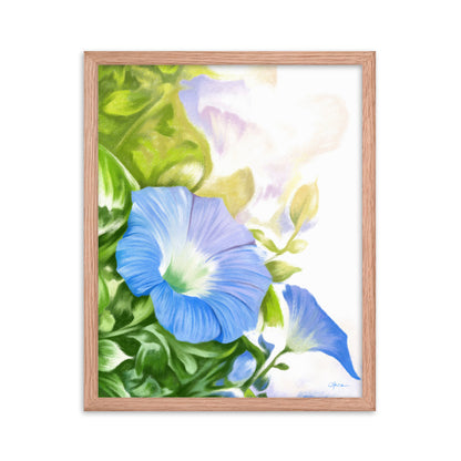 Morning Glory (September) - Birth Flower Framed Print