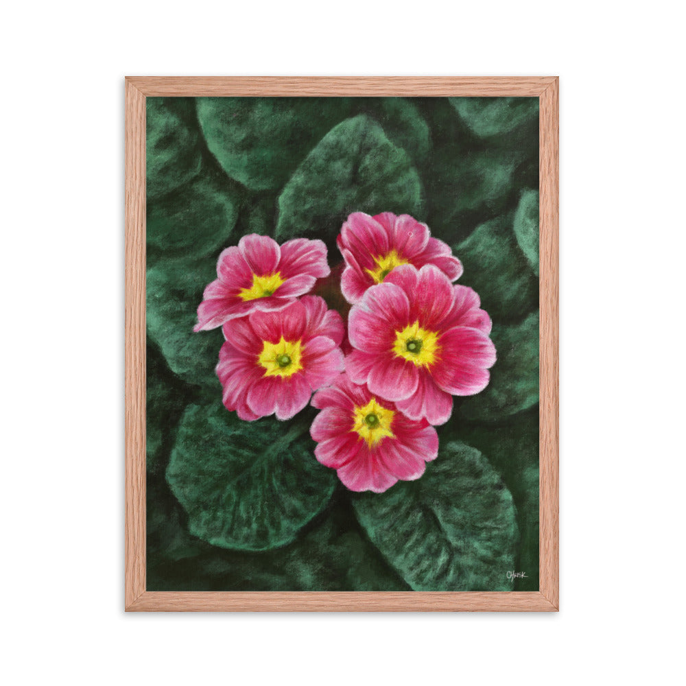 Primrose (February) - Birth Flower Framed Print