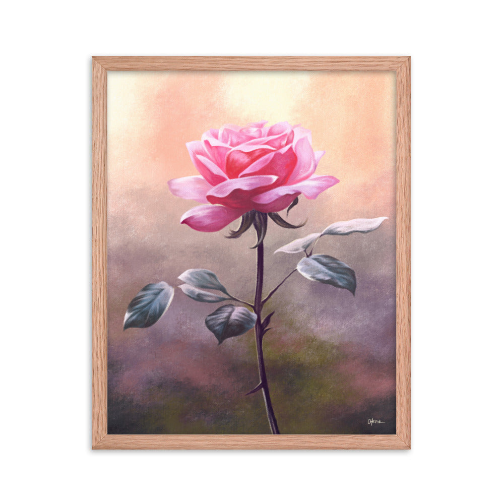 Rose (June) - Birth Flower Framed Print