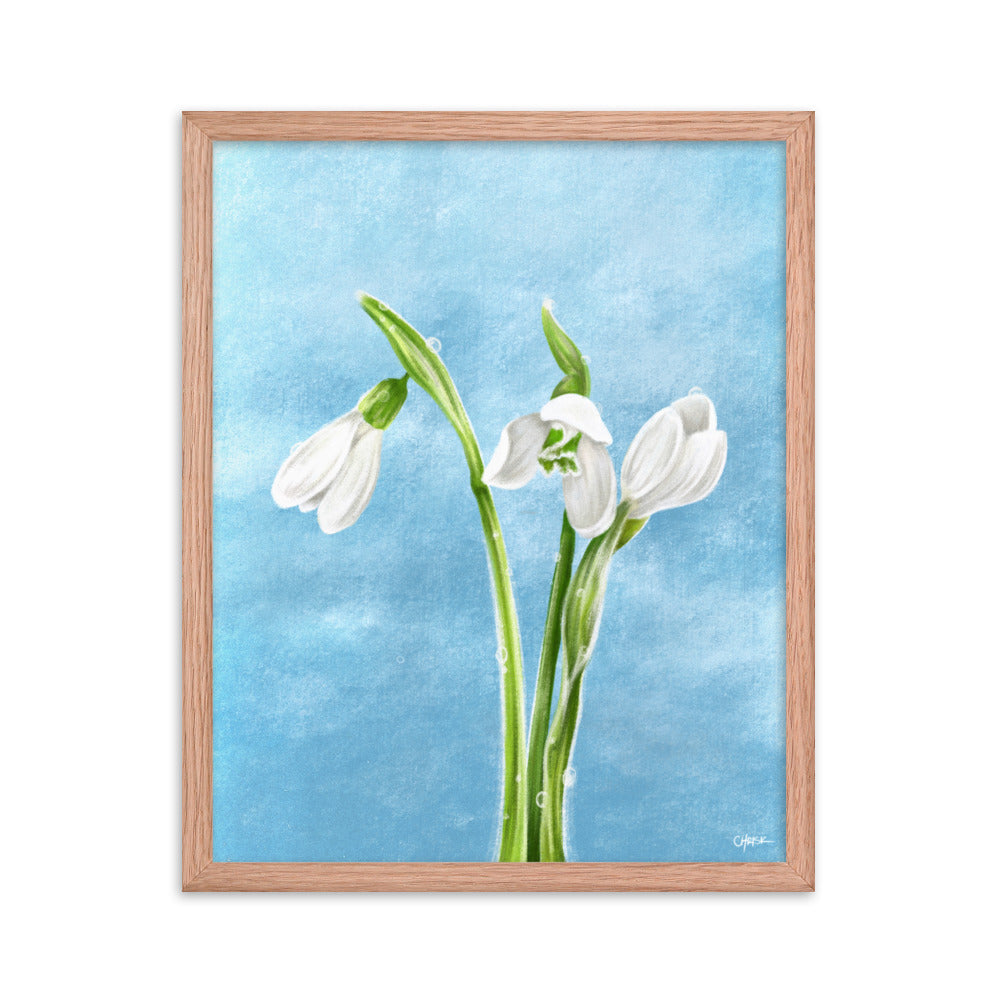 Snowdrop (January) - Birth Flower Framed Print