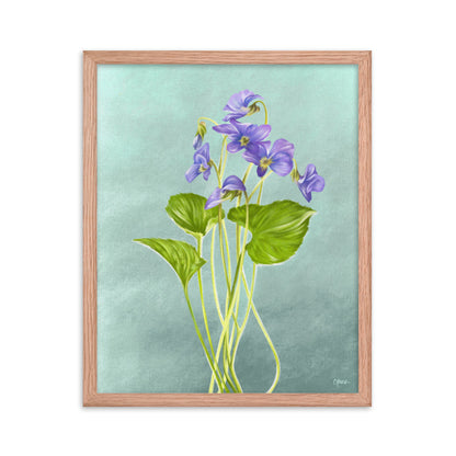 Violet (February) - Birth Flower Framed Print