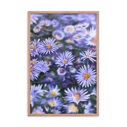 Aster (September) - Birth Flower Framed Print