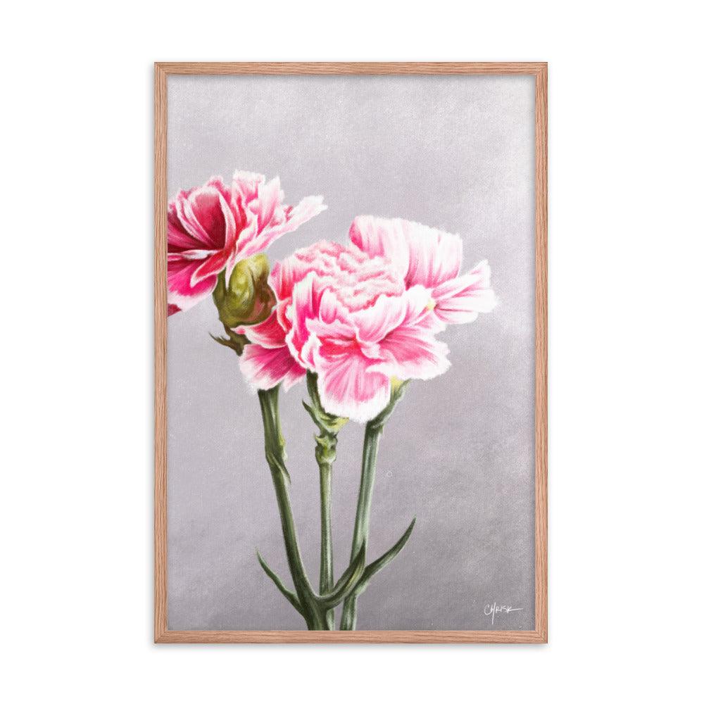 Carnation (January) - Birth Flower Framed Print