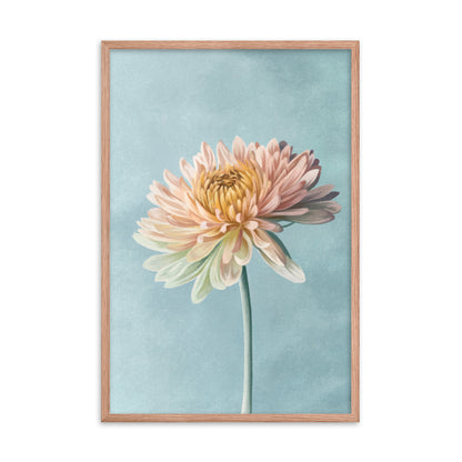 Chrysanthemum (November) - Birth Flower Framed Print