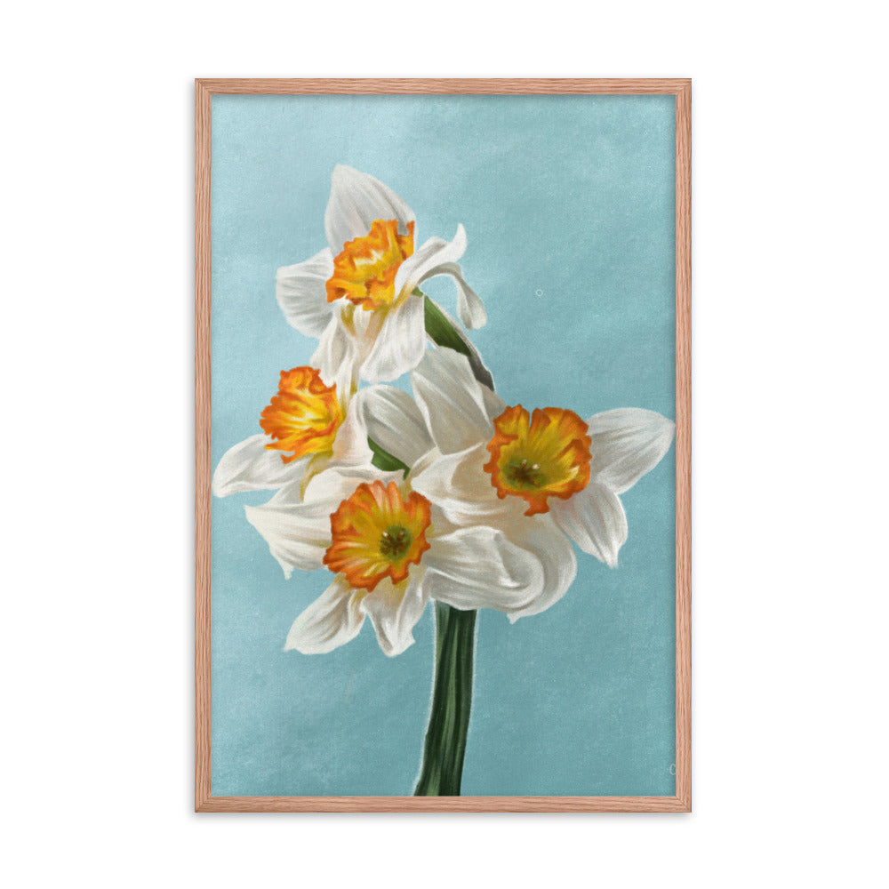 Daffodil (March) - Birth Flower Framed Print