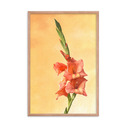 Gladiolus (August) - Birth Flower Framed Print