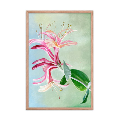 Honeysuckle (June) - Birth Flower Framed Print